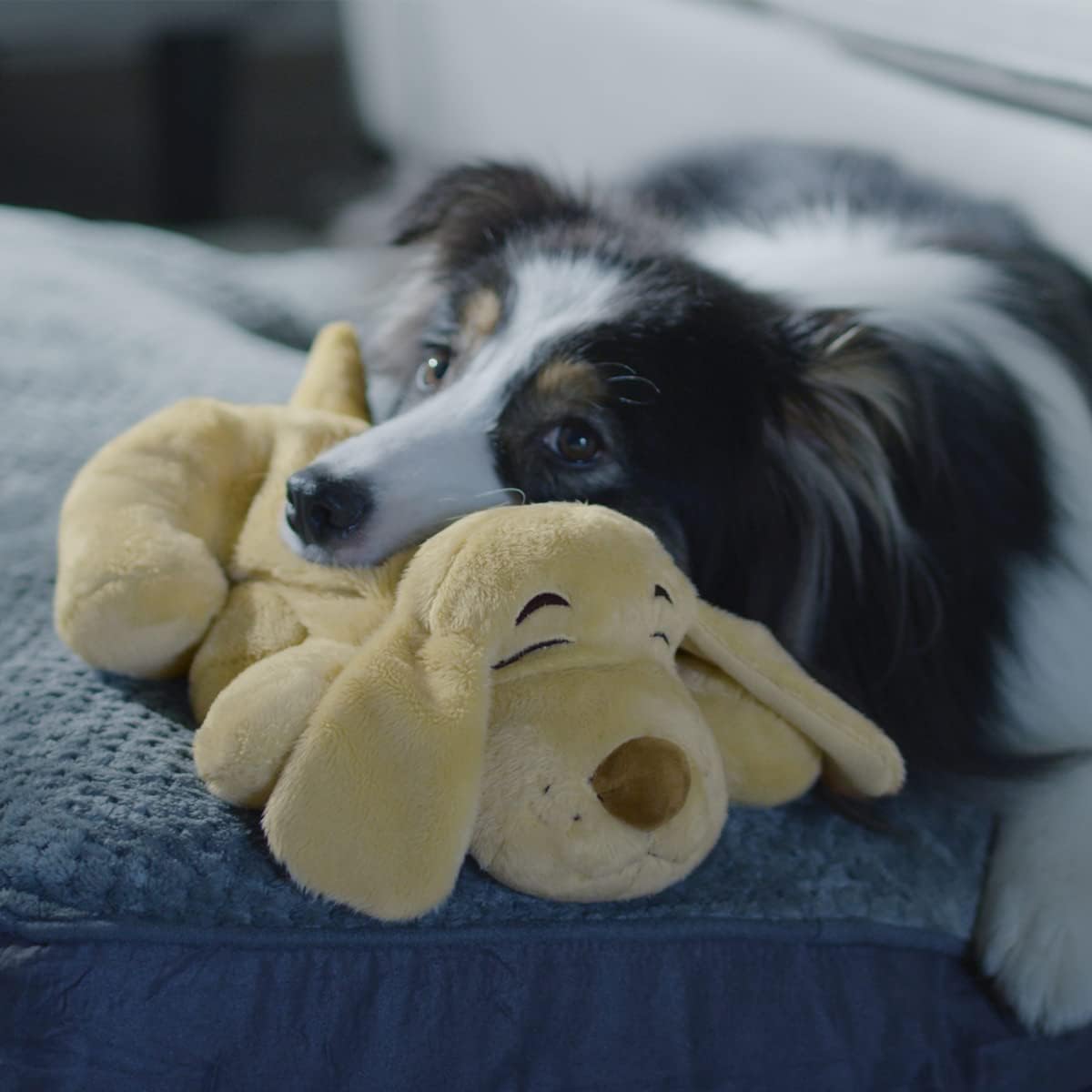 JML Huggie Pup Dog Toys