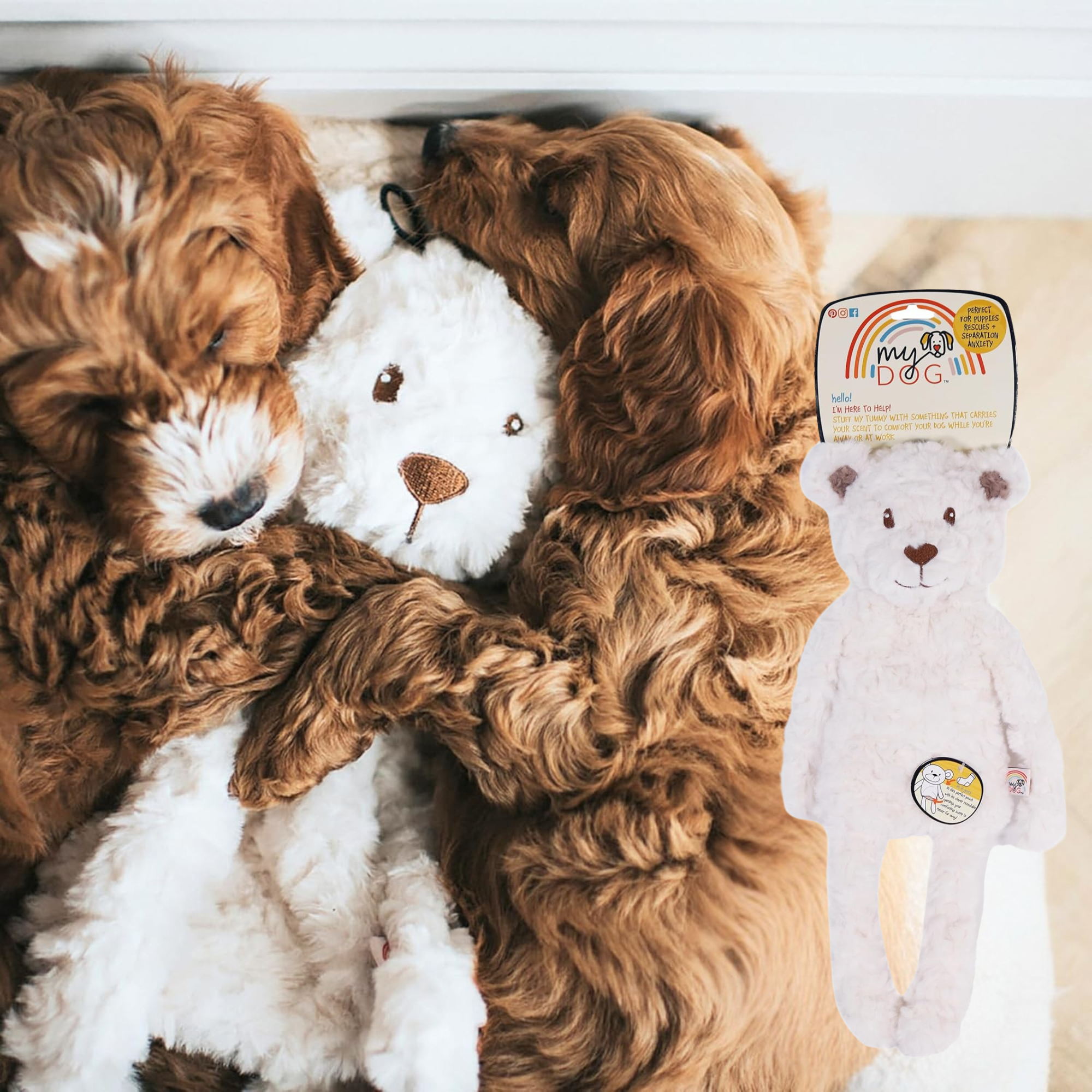 Rosewood My Dog Luxury Soft Plush Bear Toy for Dogs and Puppies Rosewood My Dog Luxury Soft Plush Bear Toy for Dogs and Puppies